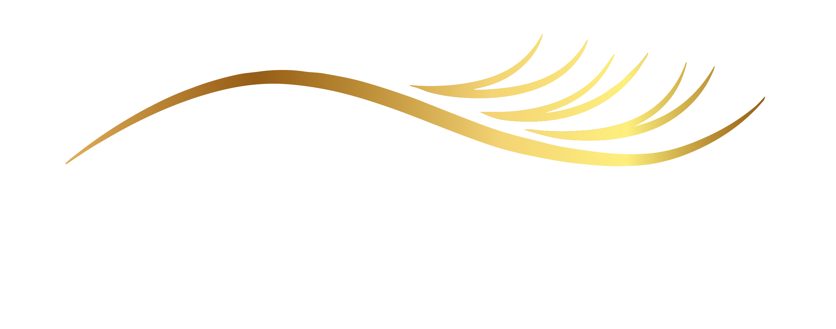Slider banner